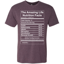 NL6010 Next Level Men's Triblend T-Shirt