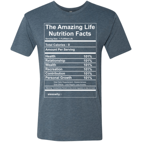 NL6010 Next Level Men's Triblend T-Shirt
