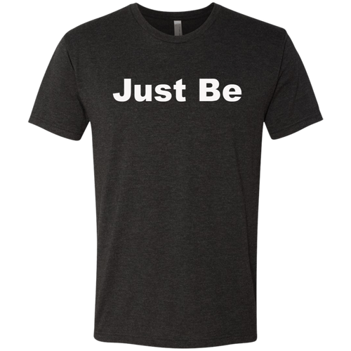 NL6010 Next Level Men's Triblend T-Shirt